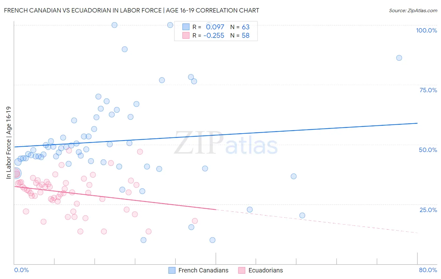 French Canadian vs Ecuadorian In Labor Force | Age 16-19