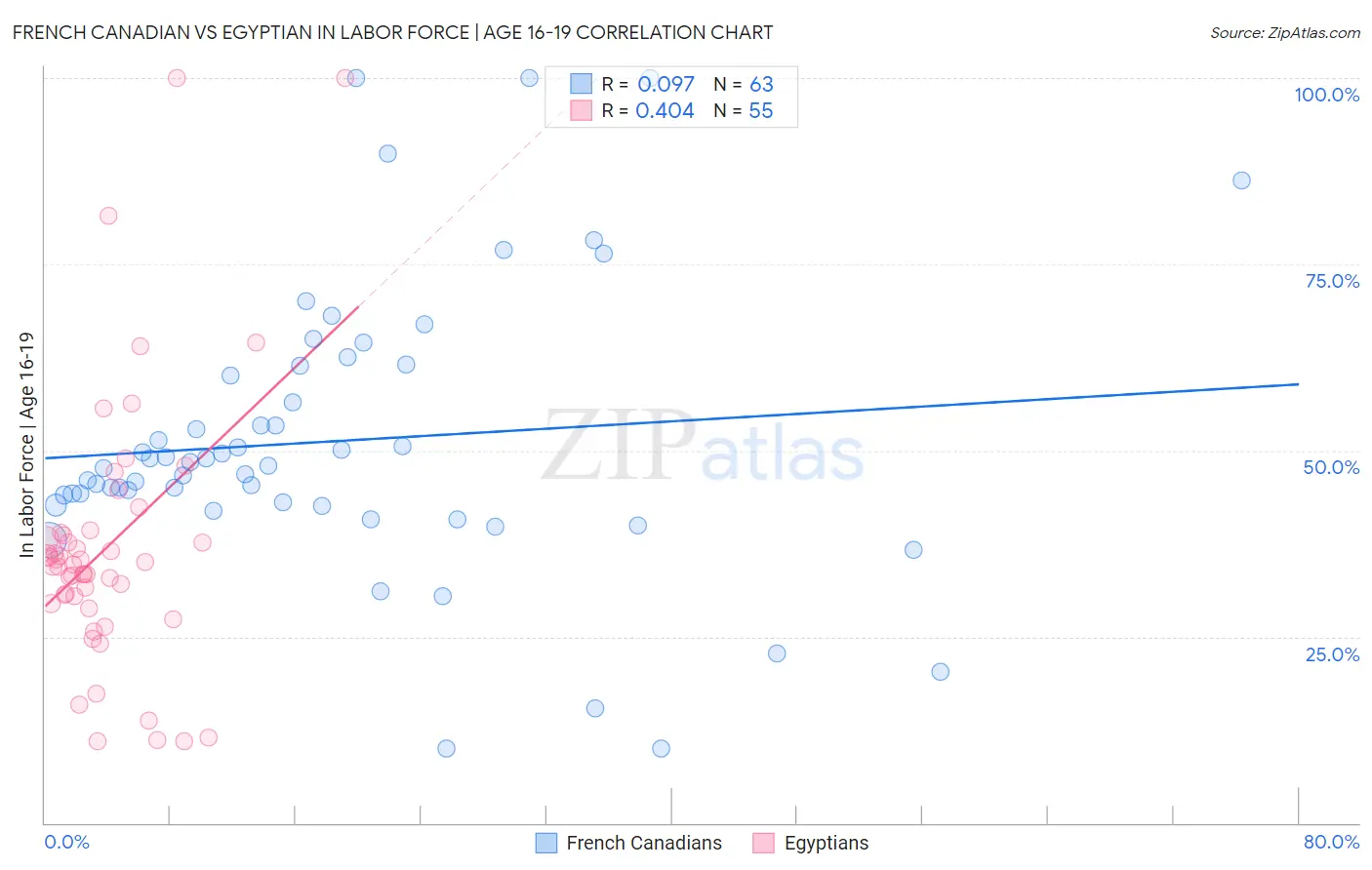 French Canadian vs Egyptian In Labor Force | Age 16-19