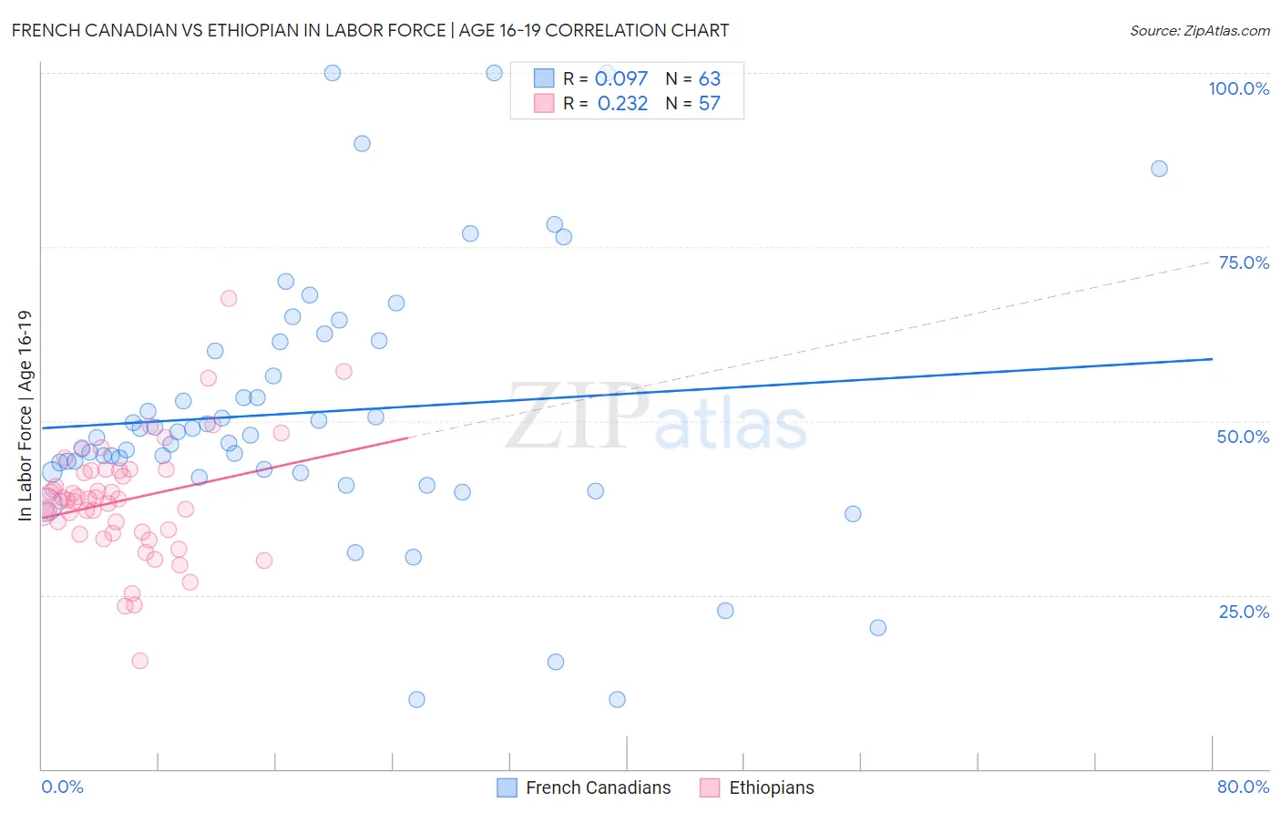 French Canadian vs Ethiopian In Labor Force | Age 16-19