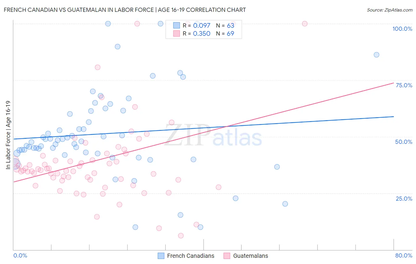 French Canadian vs Guatemalan In Labor Force | Age 16-19