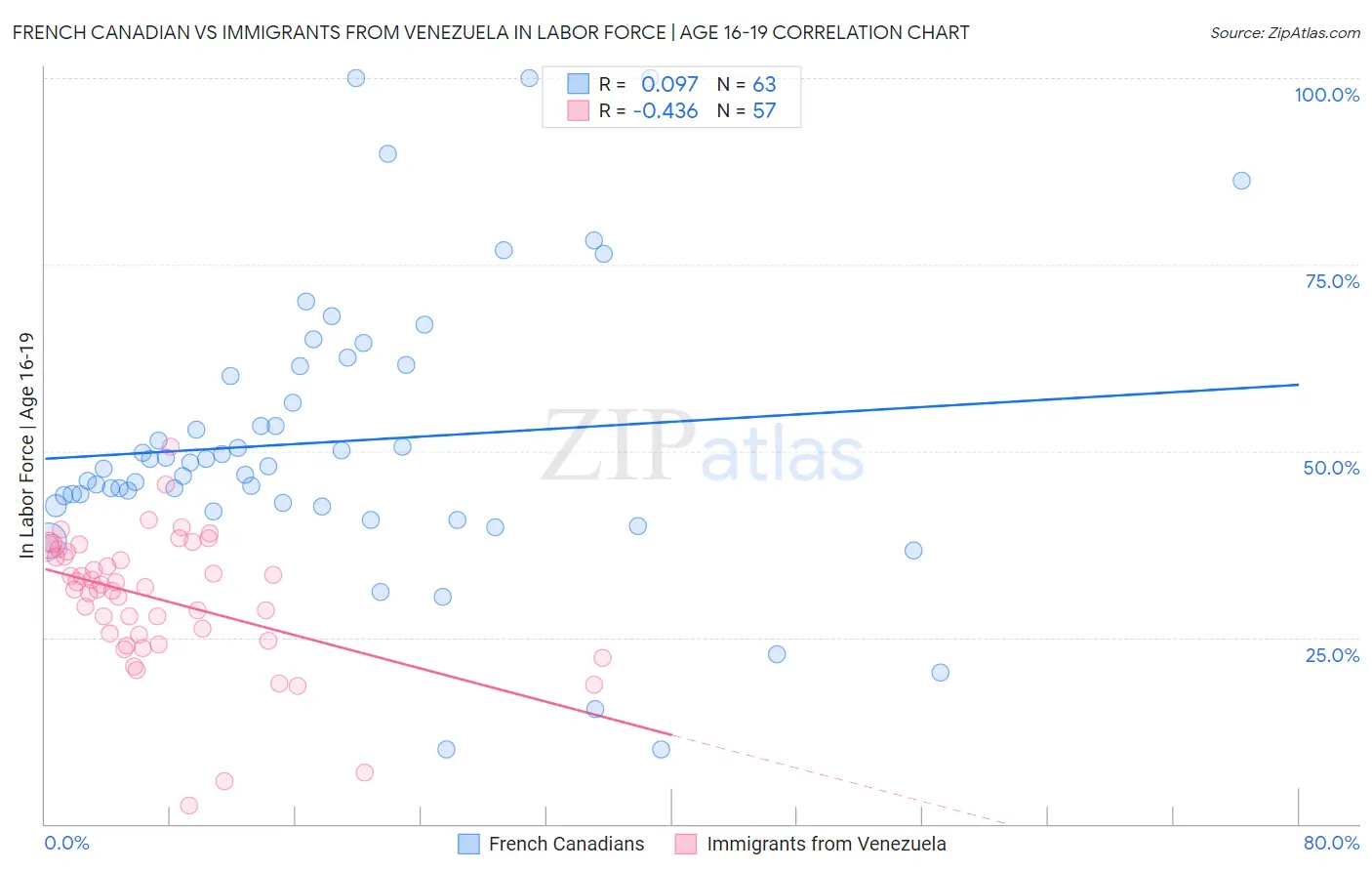 French Canadian vs Immigrants from Venezuela In Labor Force | Age 16-19