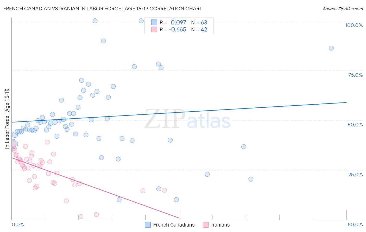 French Canadian vs Iranian In Labor Force | Age 16-19