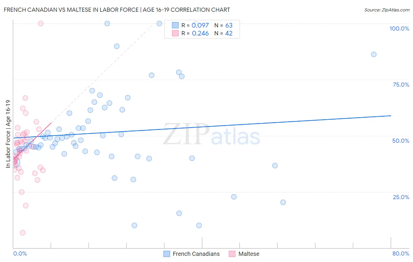 French Canadian vs Maltese In Labor Force | Age 16-19
