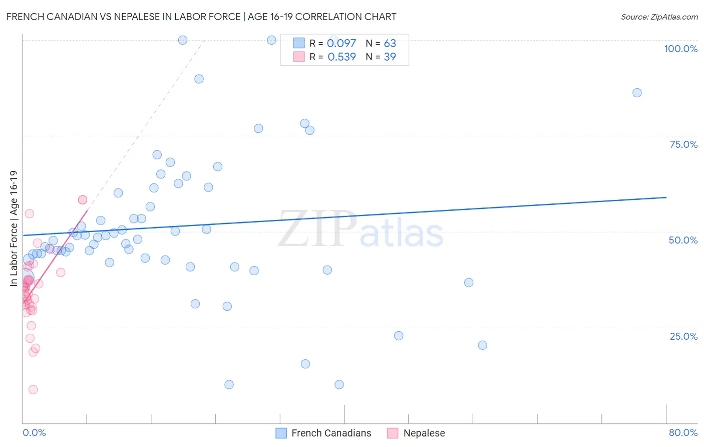 French Canadian vs Nepalese In Labor Force | Age 16-19