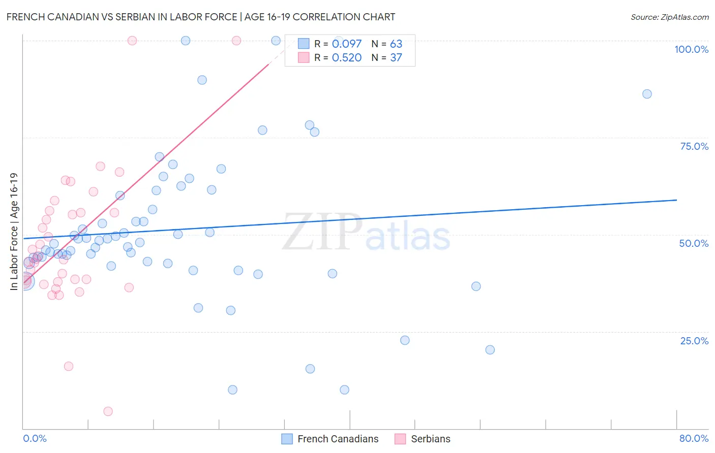 French Canadian vs Serbian In Labor Force | Age 16-19