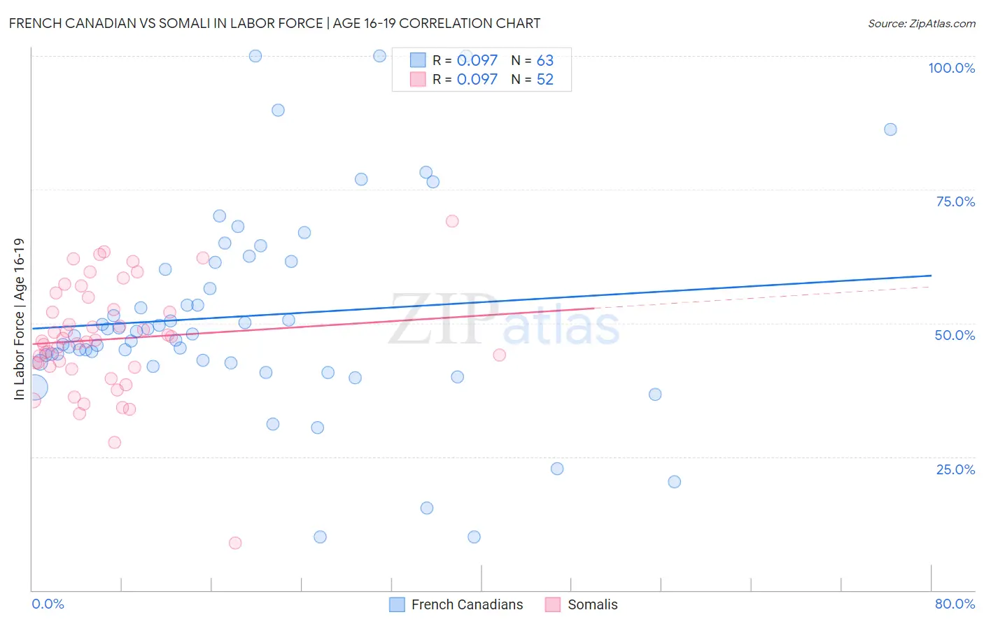 French Canadian vs Somali In Labor Force | Age 16-19