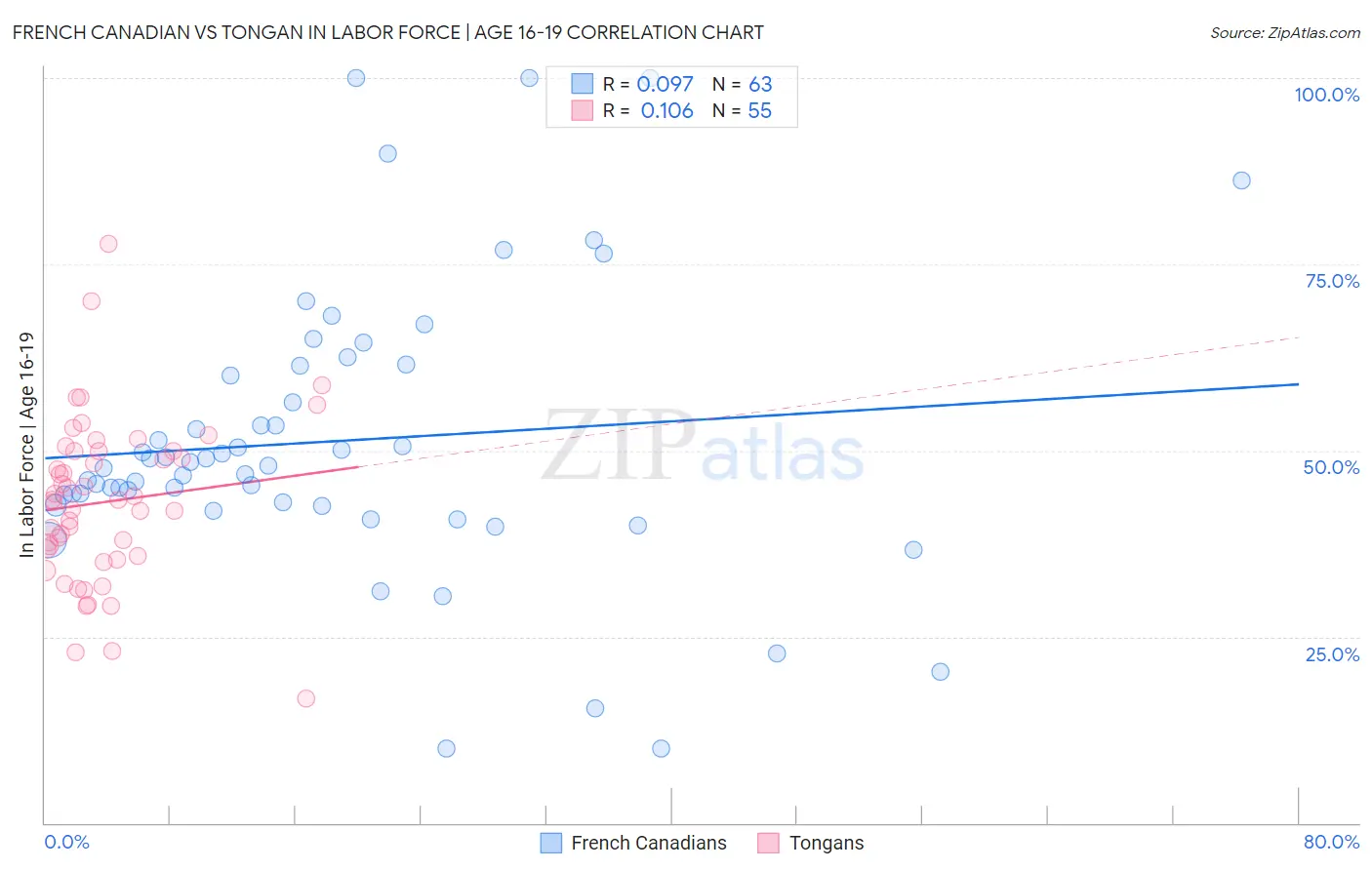 French Canadian vs Tongan In Labor Force | Age 16-19