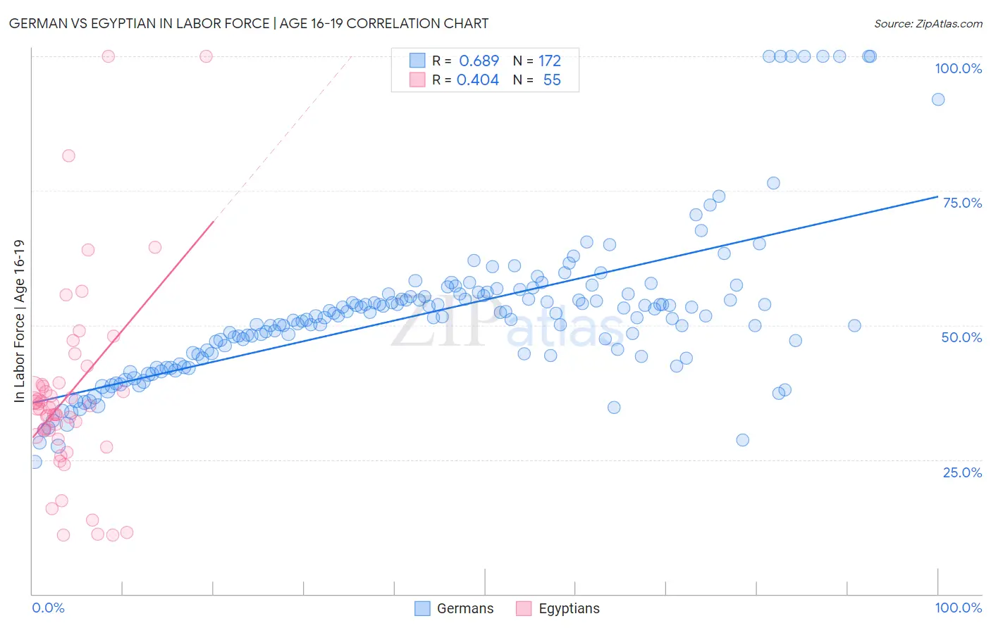 German vs Egyptian In Labor Force | Age 16-19