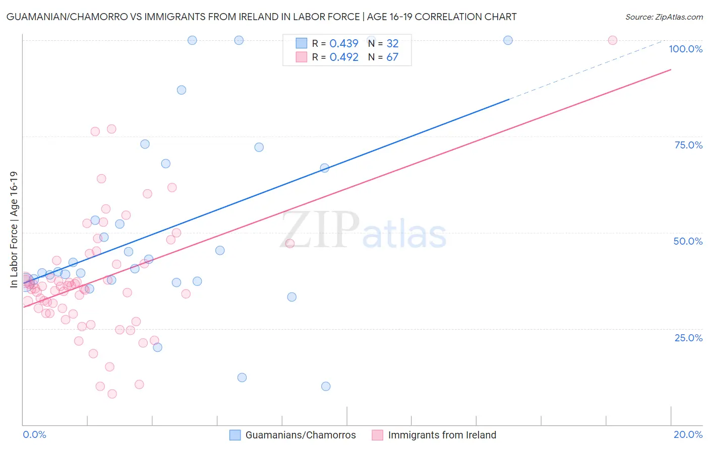 Guamanian/Chamorro vs Immigrants from Ireland In Labor Force | Age 16-19
