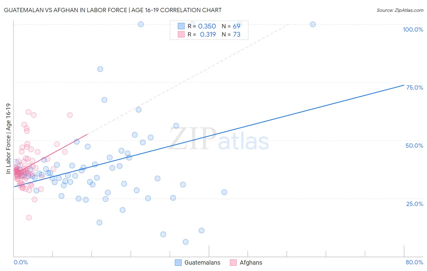 Guatemalan vs Afghan In Labor Force | Age 16-19