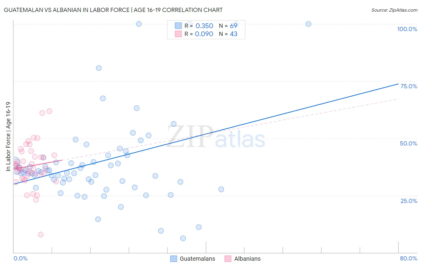 Guatemalan vs Albanian In Labor Force | Age 16-19