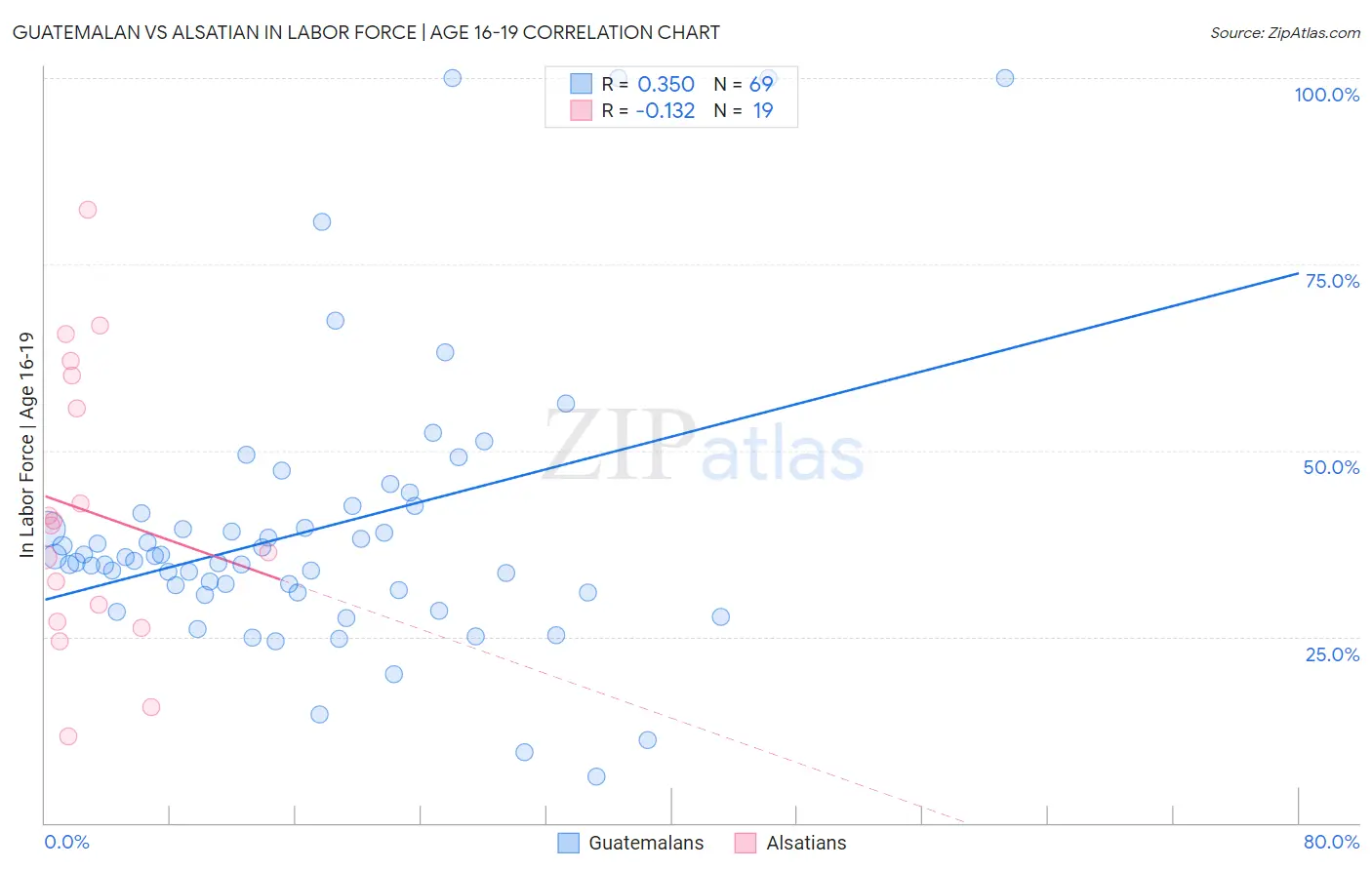 Guatemalan vs Alsatian In Labor Force | Age 16-19