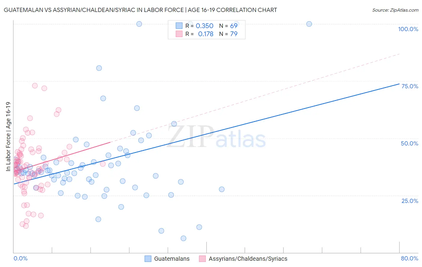 Guatemalan vs Assyrian/Chaldean/Syriac In Labor Force | Age 16-19