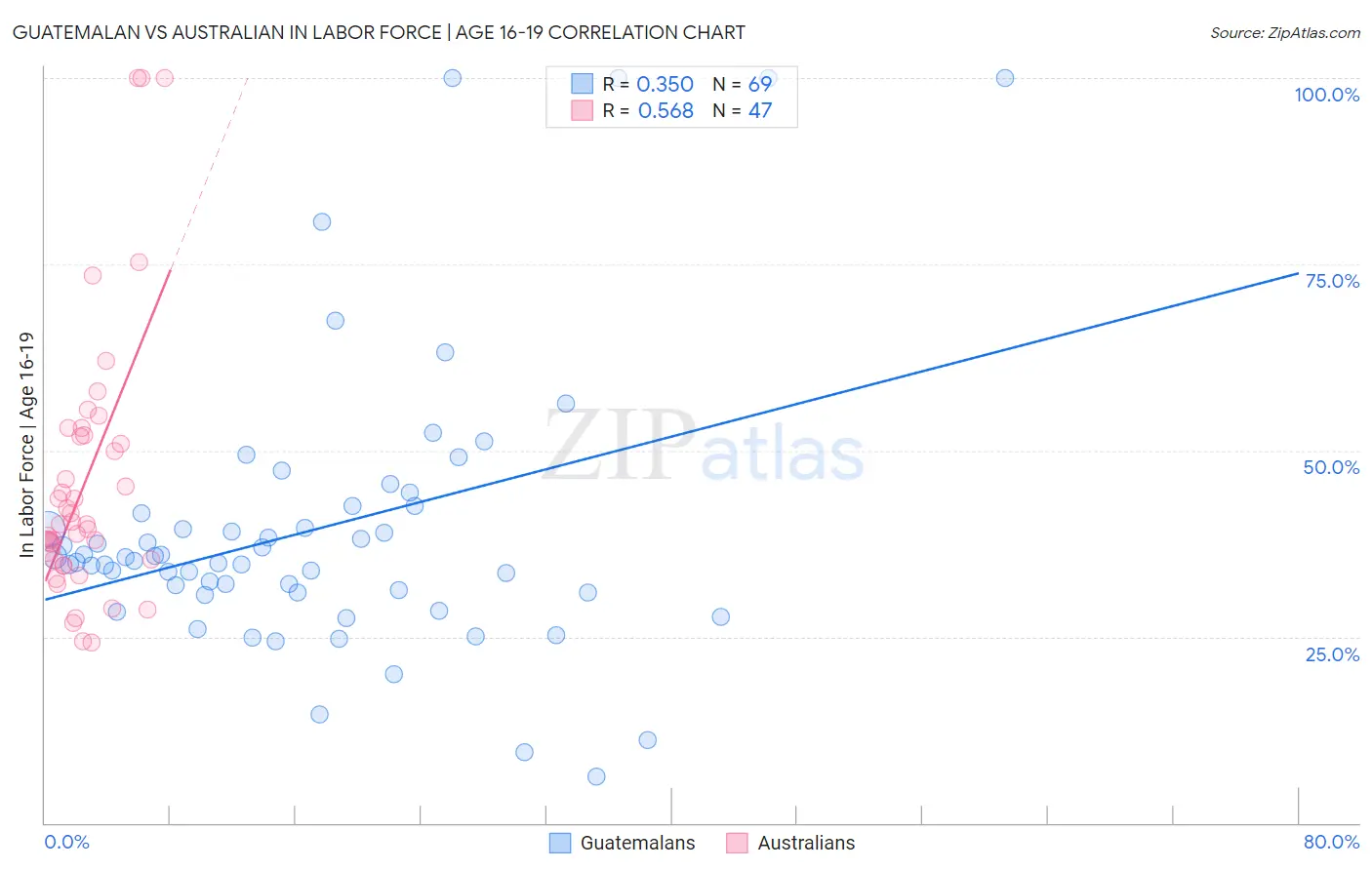Guatemalan vs Australian In Labor Force | Age 16-19