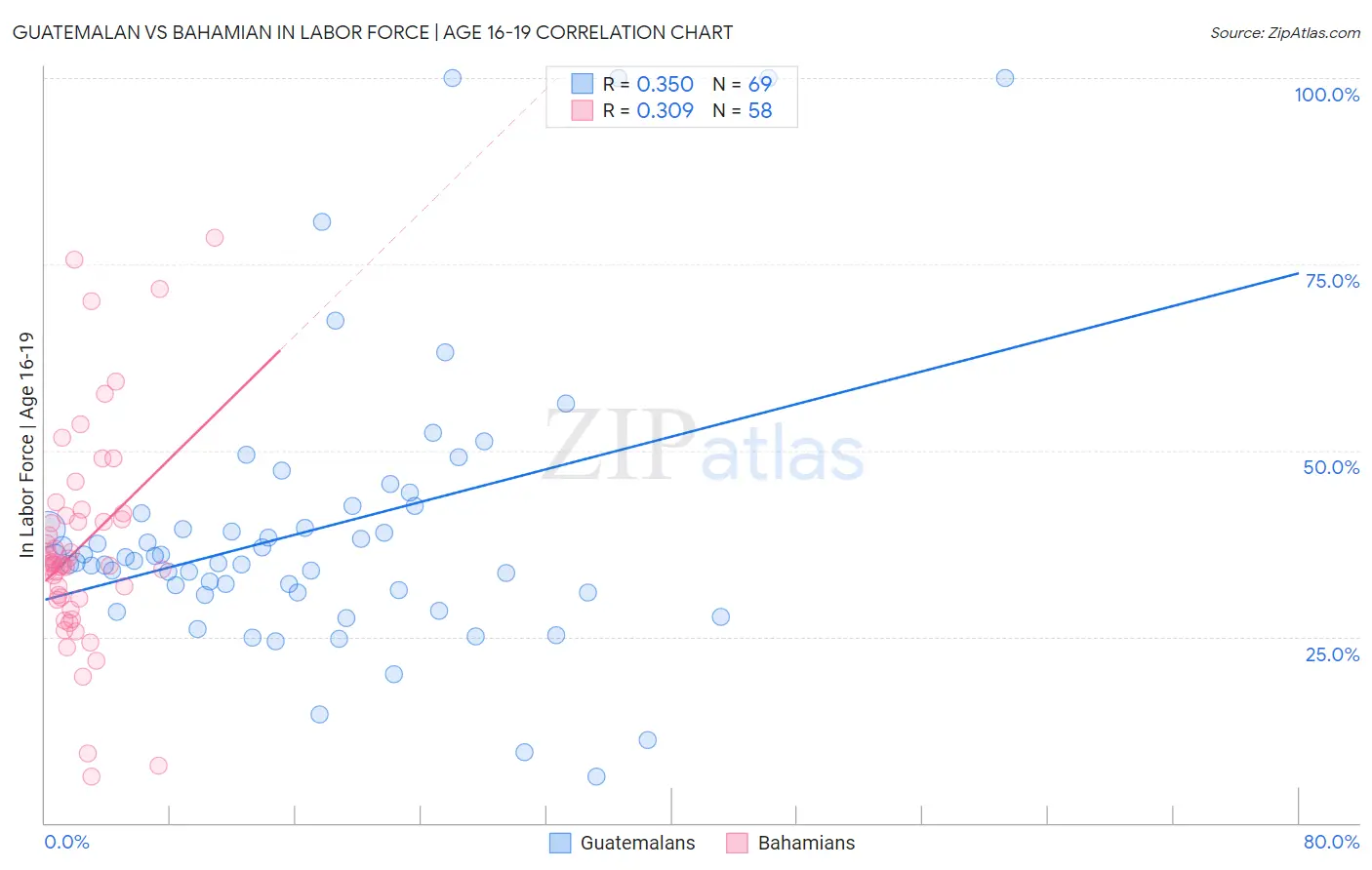 Guatemalan vs Bahamian In Labor Force | Age 16-19