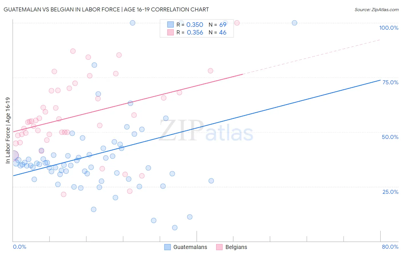 Guatemalan vs Belgian In Labor Force | Age 16-19