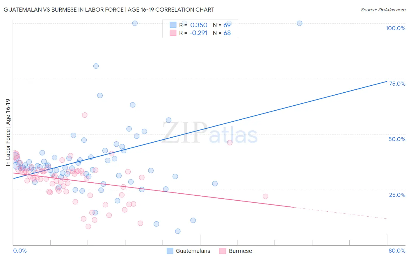 Guatemalan vs Burmese In Labor Force | Age 16-19