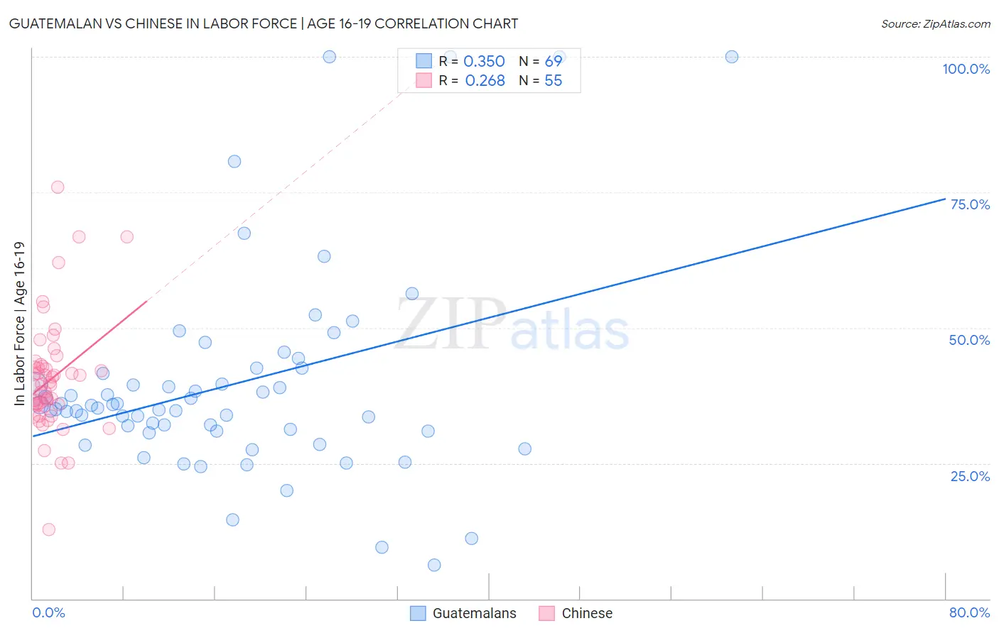 Guatemalan vs Chinese In Labor Force | Age 16-19