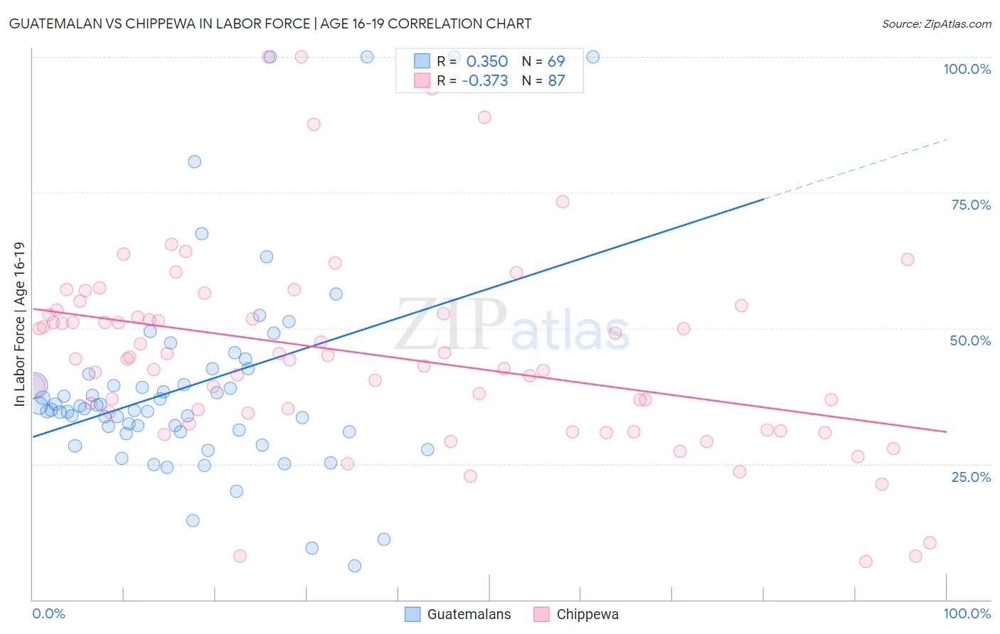 Guatemalan vs Chippewa In Labor Force | Age 16-19