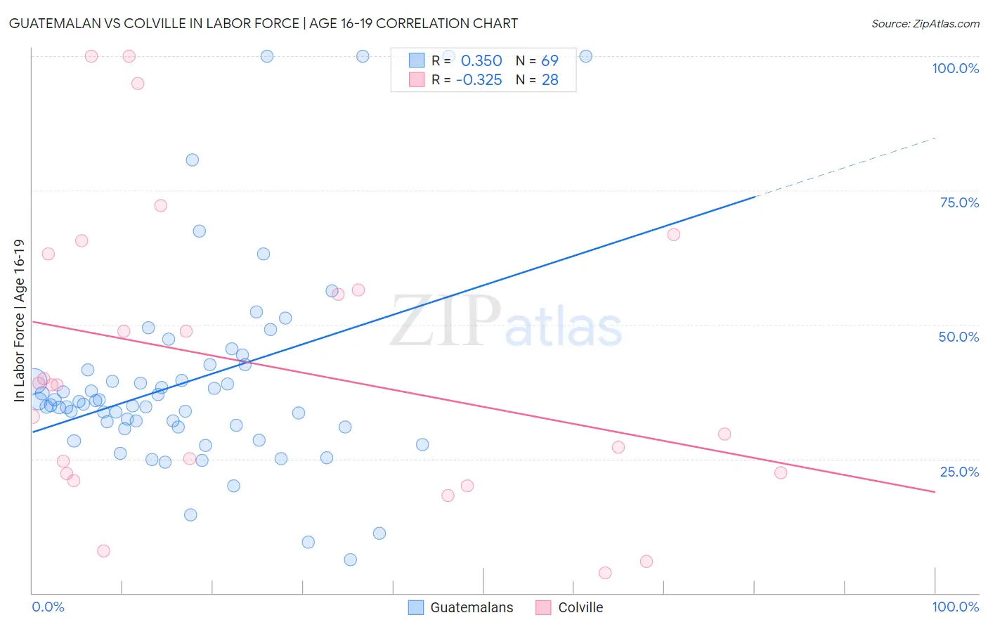 Guatemalan vs Colville In Labor Force | Age 16-19