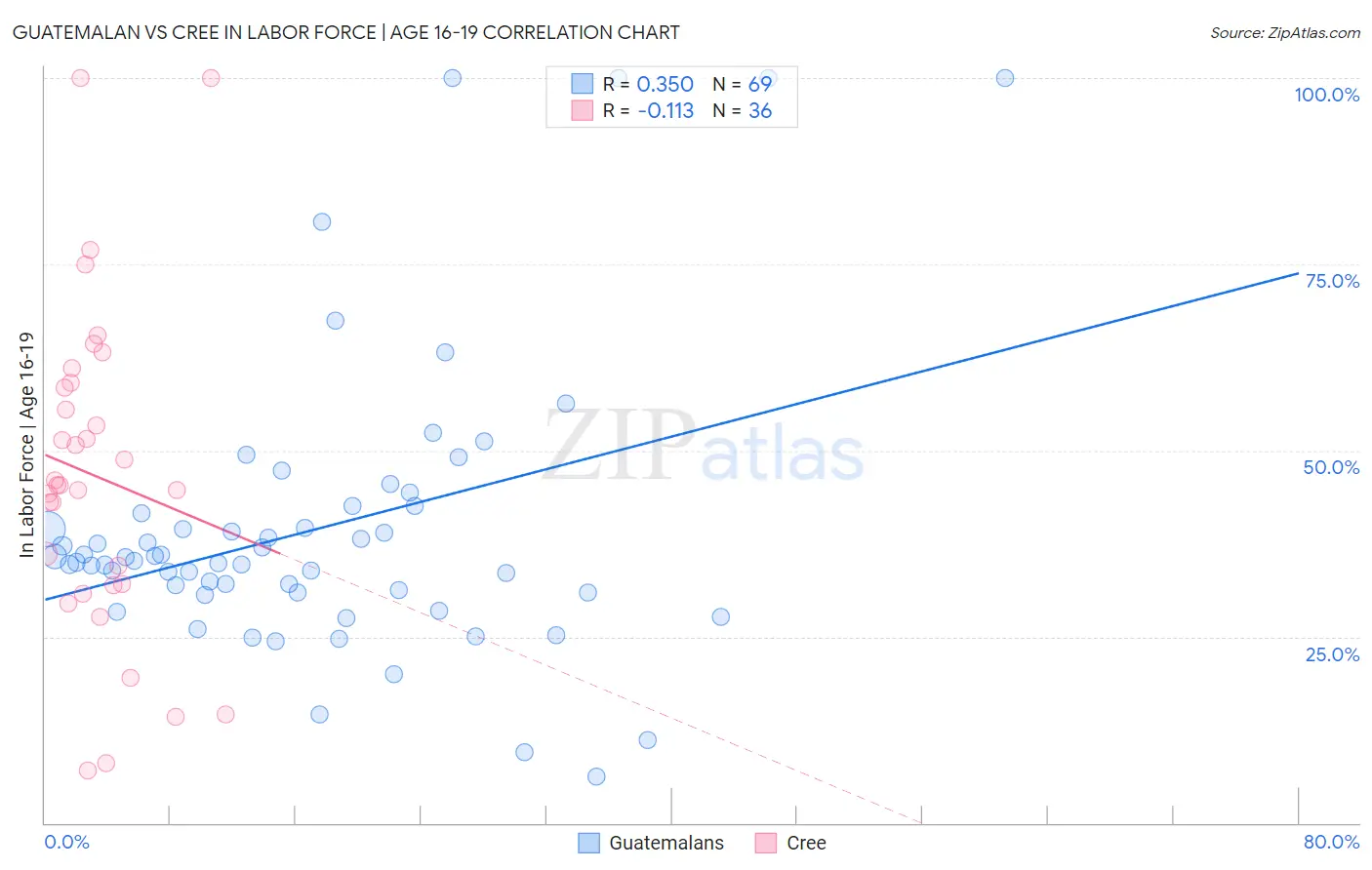 Guatemalan vs Cree In Labor Force | Age 16-19