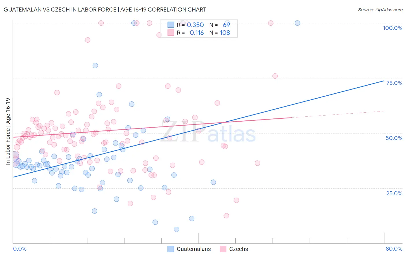 Guatemalan vs Czech In Labor Force | Age 16-19