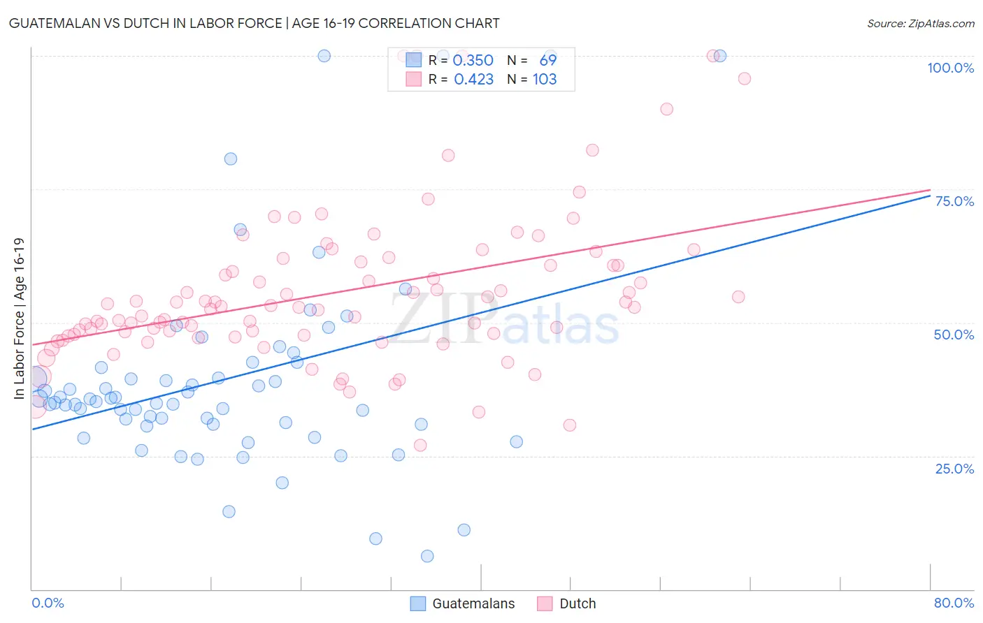 Guatemalan vs Dutch In Labor Force | Age 16-19