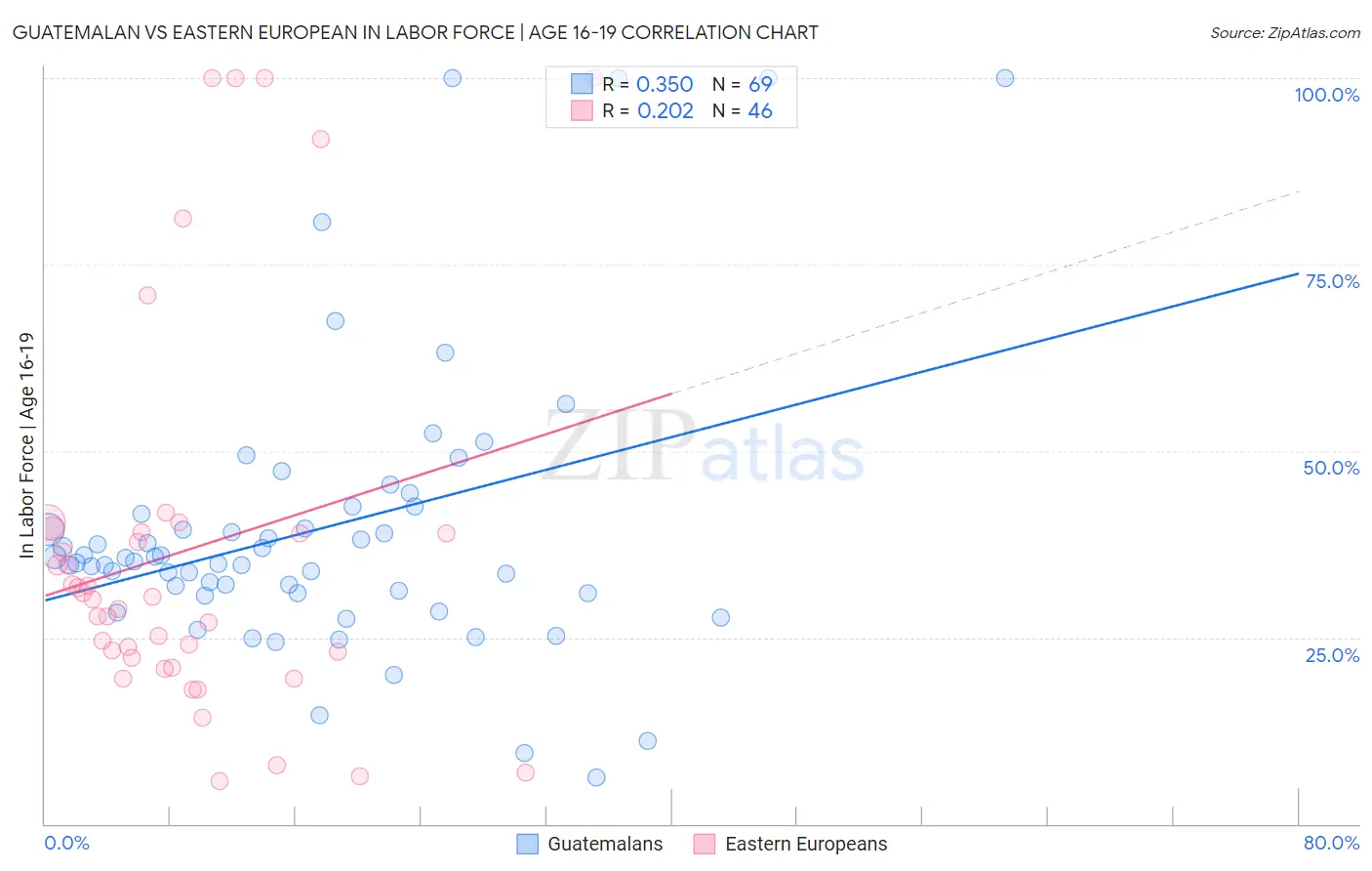 Guatemalan vs Eastern European In Labor Force | Age 16-19