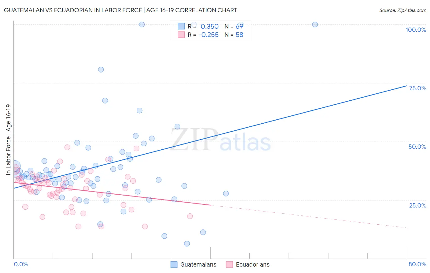 Guatemalan vs Ecuadorian In Labor Force | Age 16-19