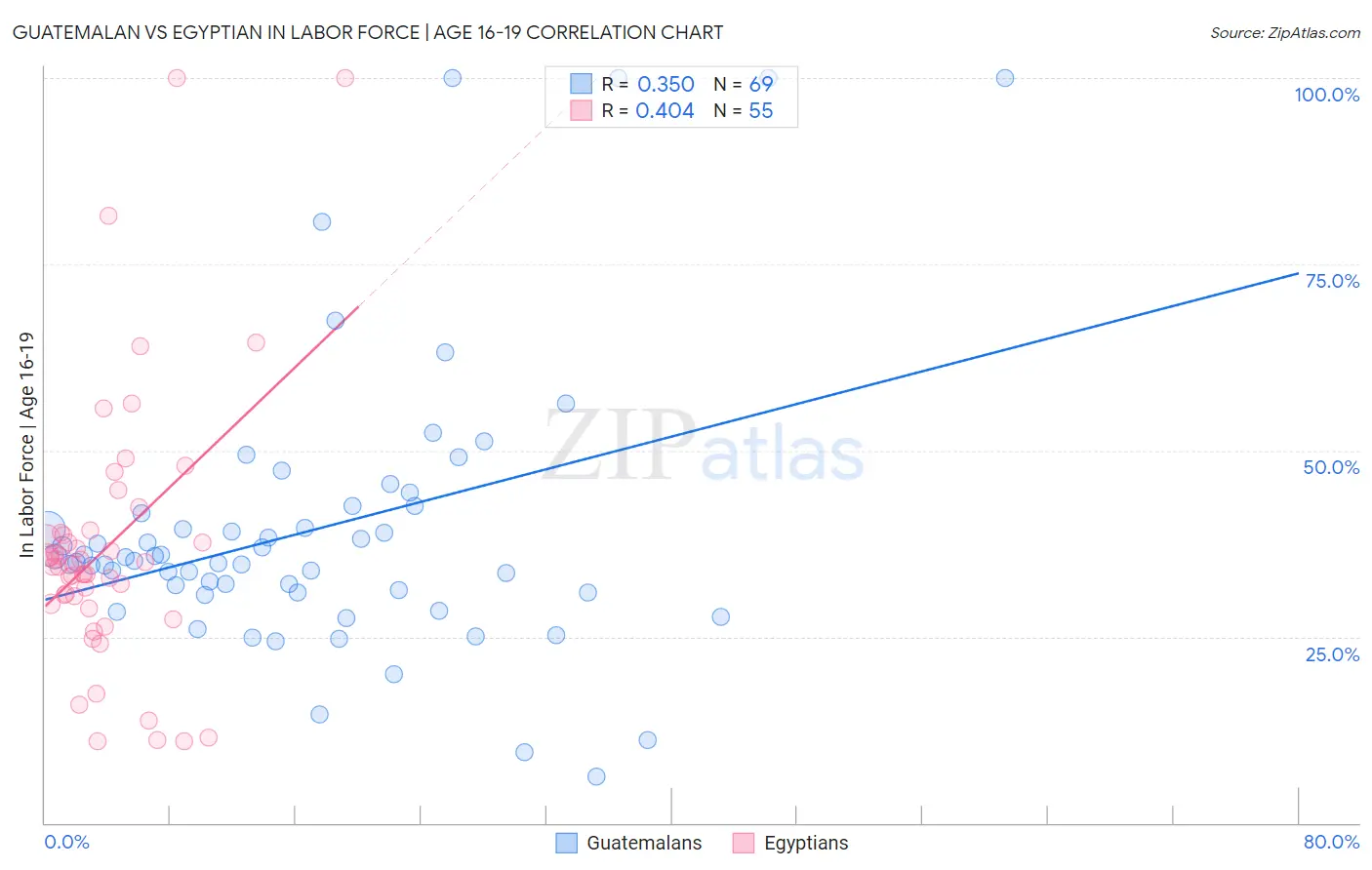 Guatemalan vs Egyptian In Labor Force | Age 16-19