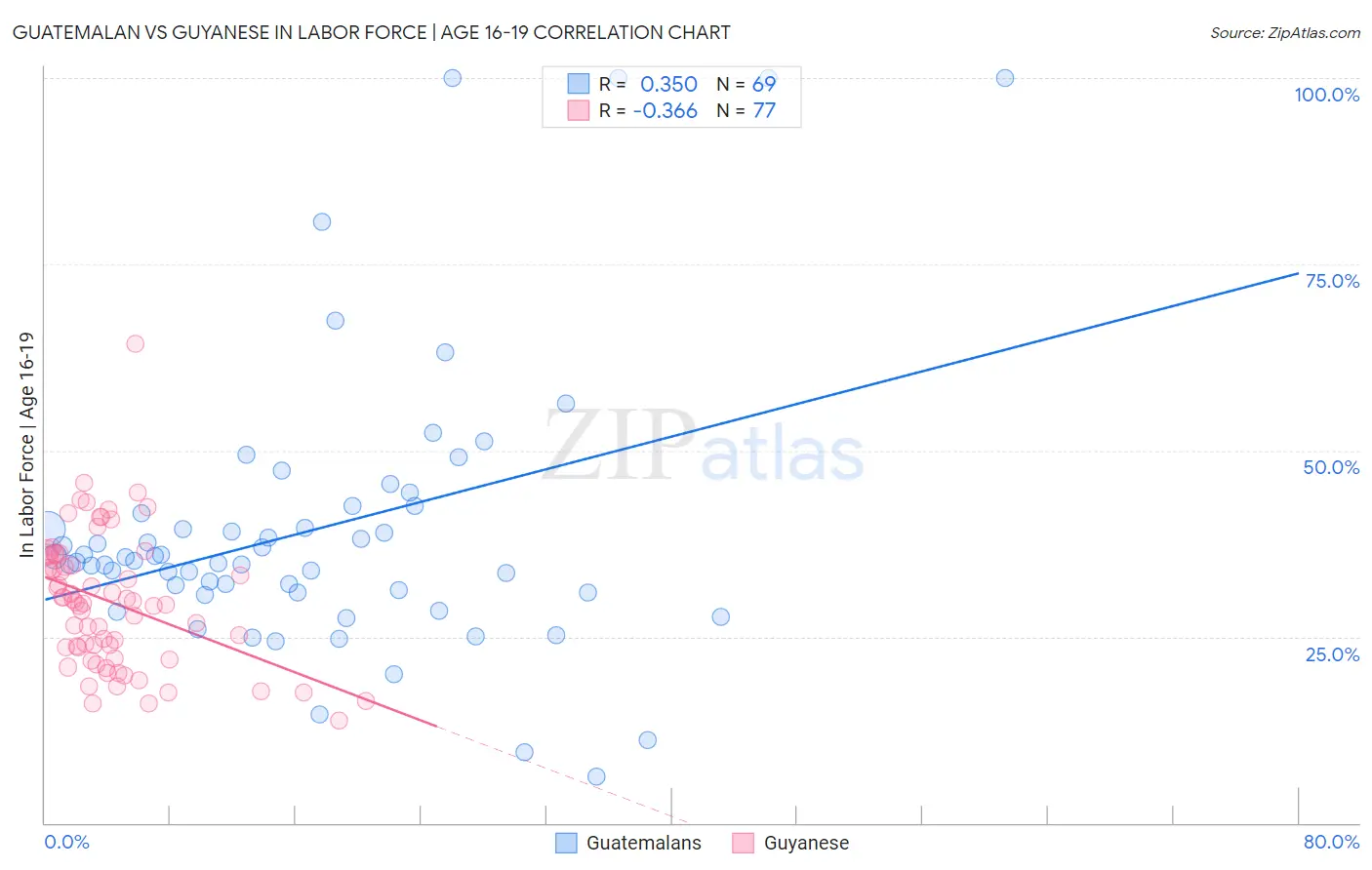 Guatemalan vs Guyanese In Labor Force | Age 16-19