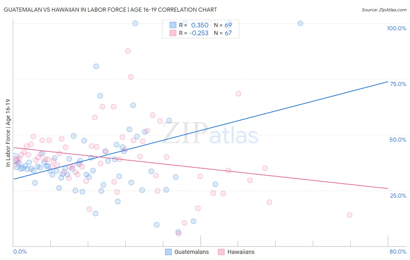 Guatemalan vs Hawaiian In Labor Force | Age 16-19