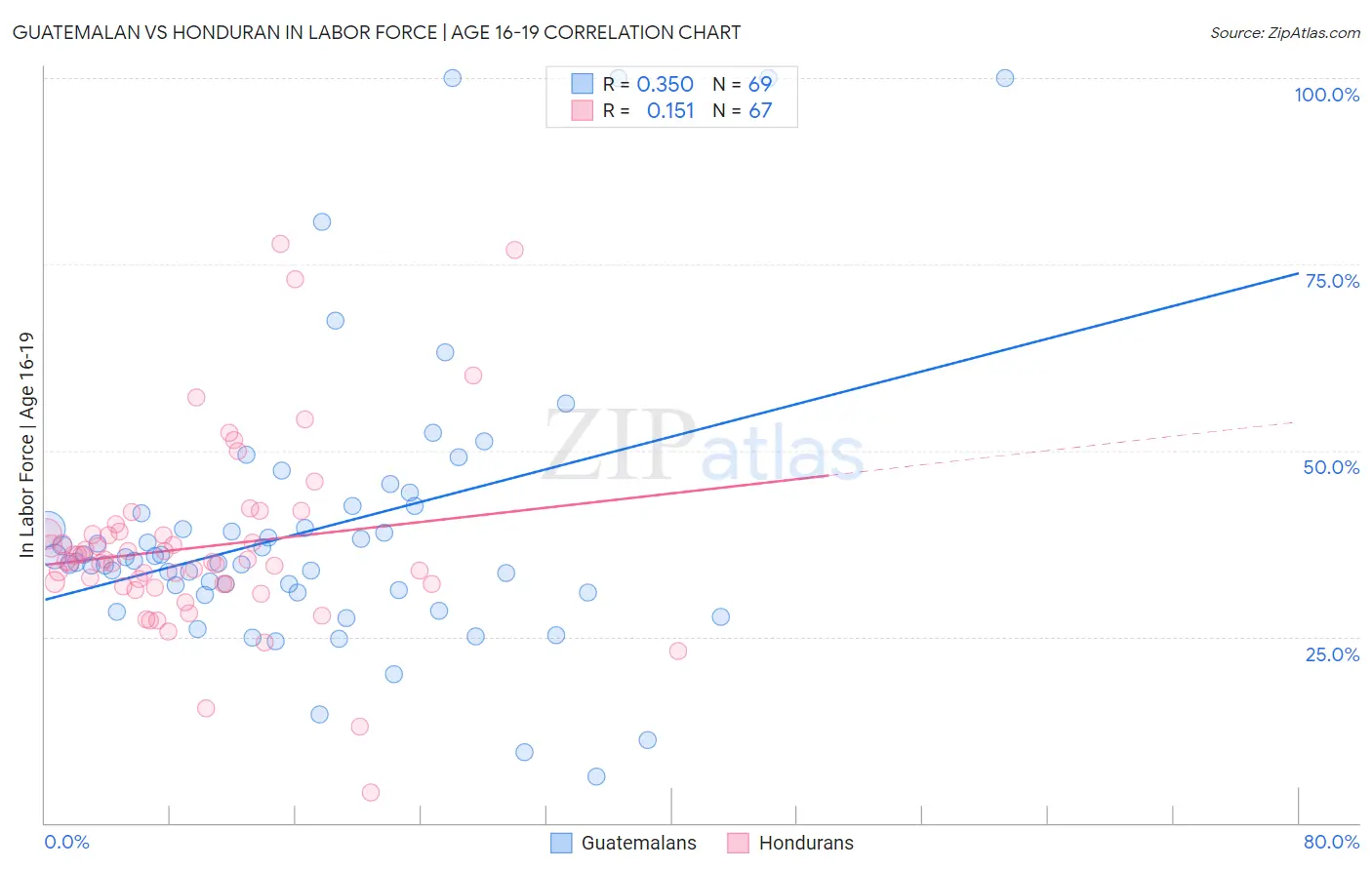 Guatemalan vs Honduran In Labor Force | Age 16-19