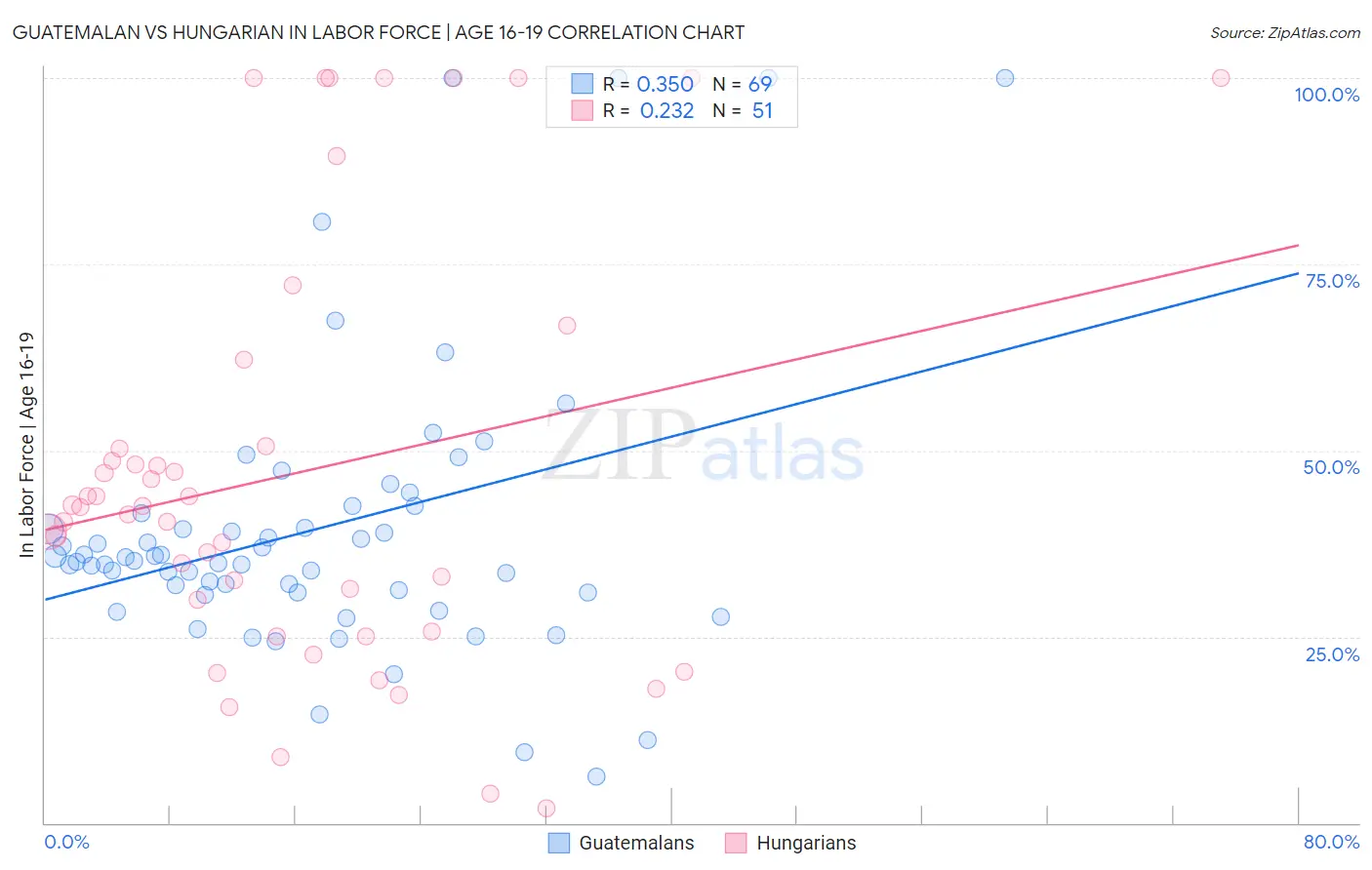 Guatemalan vs Hungarian In Labor Force | Age 16-19