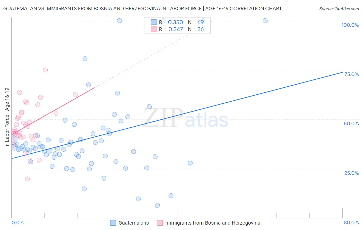 Guatemalan vs Immigrants from Bosnia and Herzegovina In Labor Force | Age 16-19