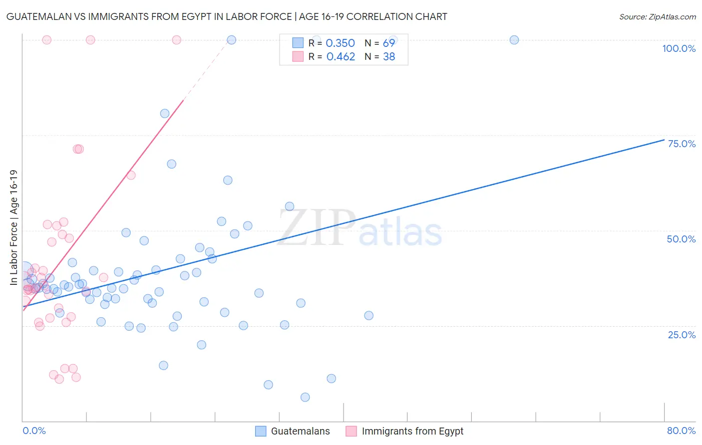 Guatemalan vs Immigrants from Egypt In Labor Force | Age 16-19