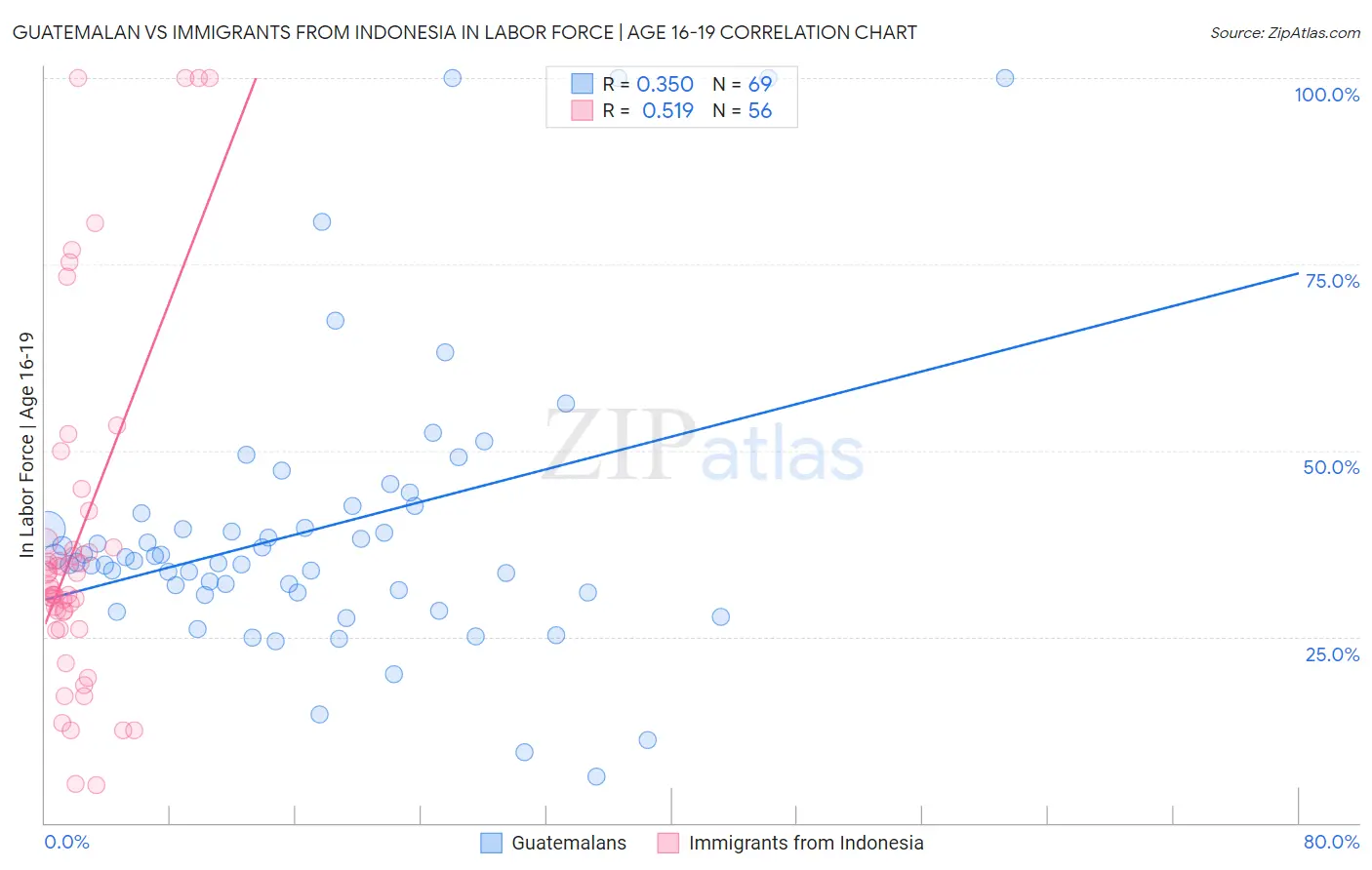 Guatemalan vs Immigrants from Indonesia In Labor Force | Age 16-19