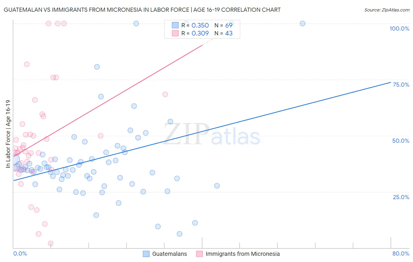 Guatemalan vs Immigrants from Micronesia In Labor Force | Age 16-19