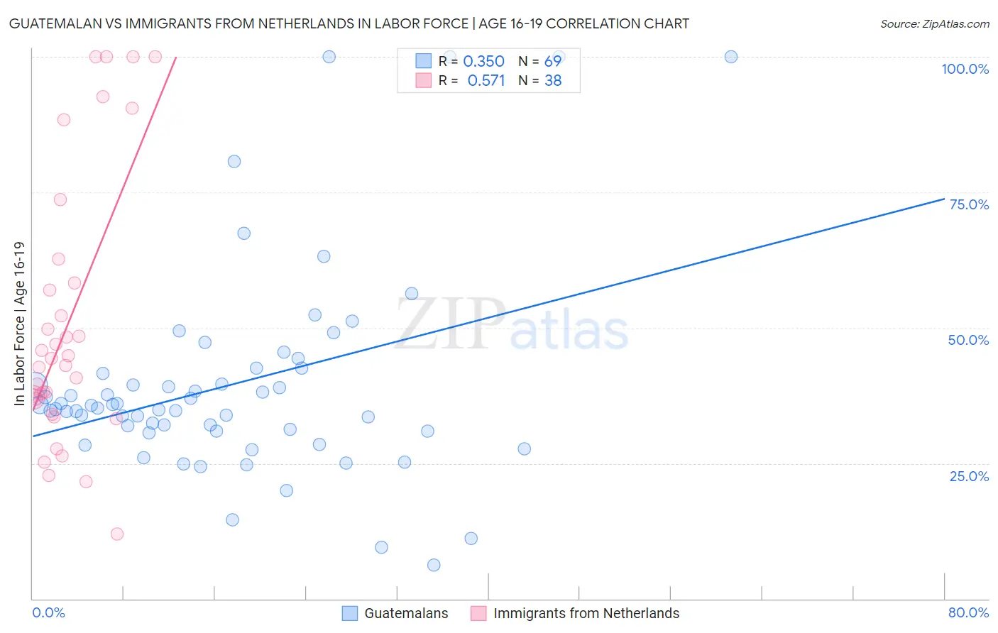 Guatemalan vs Immigrants from Netherlands In Labor Force | Age 16-19
