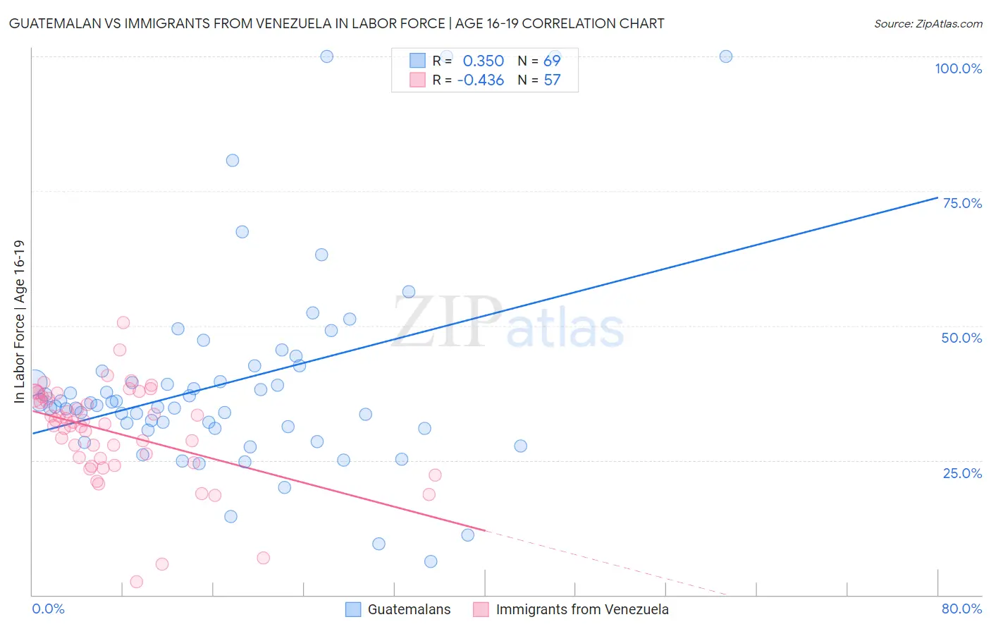 Guatemalan vs Immigrants from Venezuela In Labor Force | Age 16-19