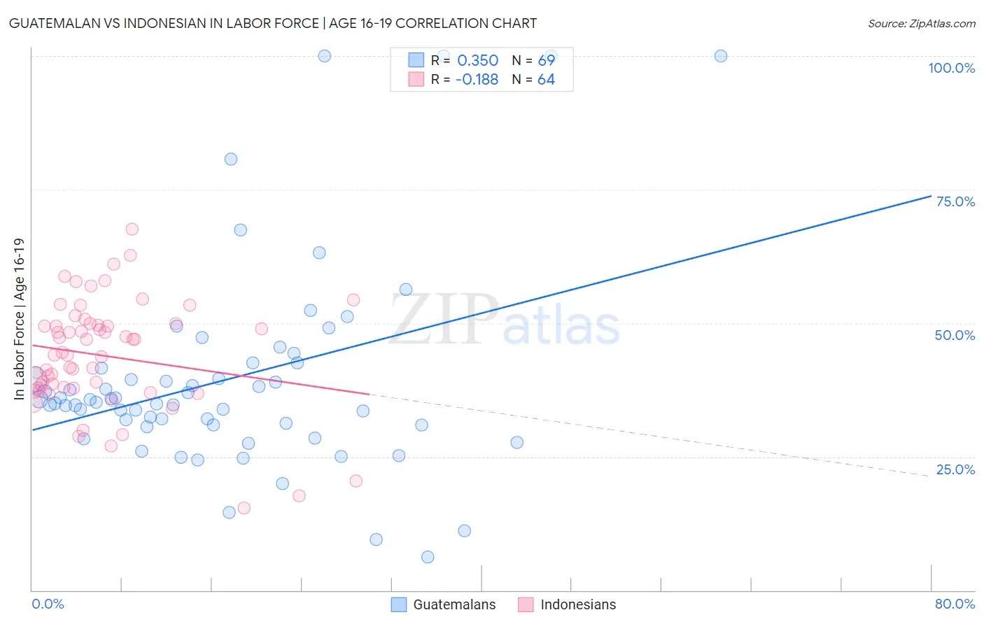 Guatemalan vs Indonesian In Labor Force | Age 16-19