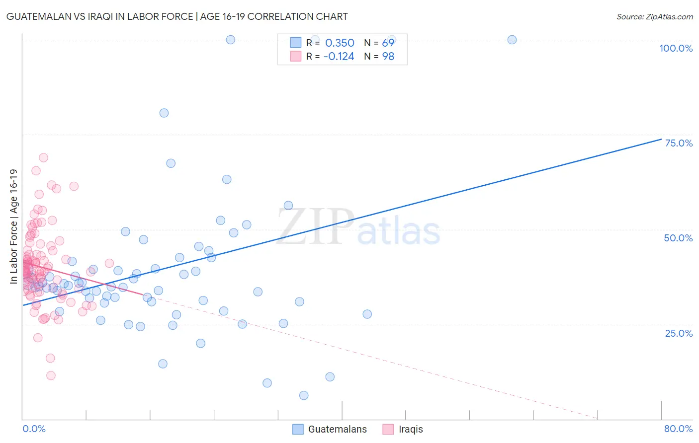 Guatemalan vs Iraqi In Labor Force | Age 16-19