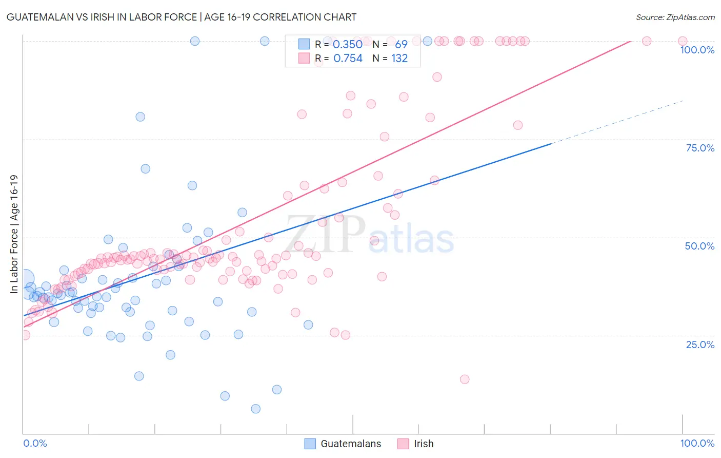 Guatemalan vs Irish In Labor Force | Age 16-19