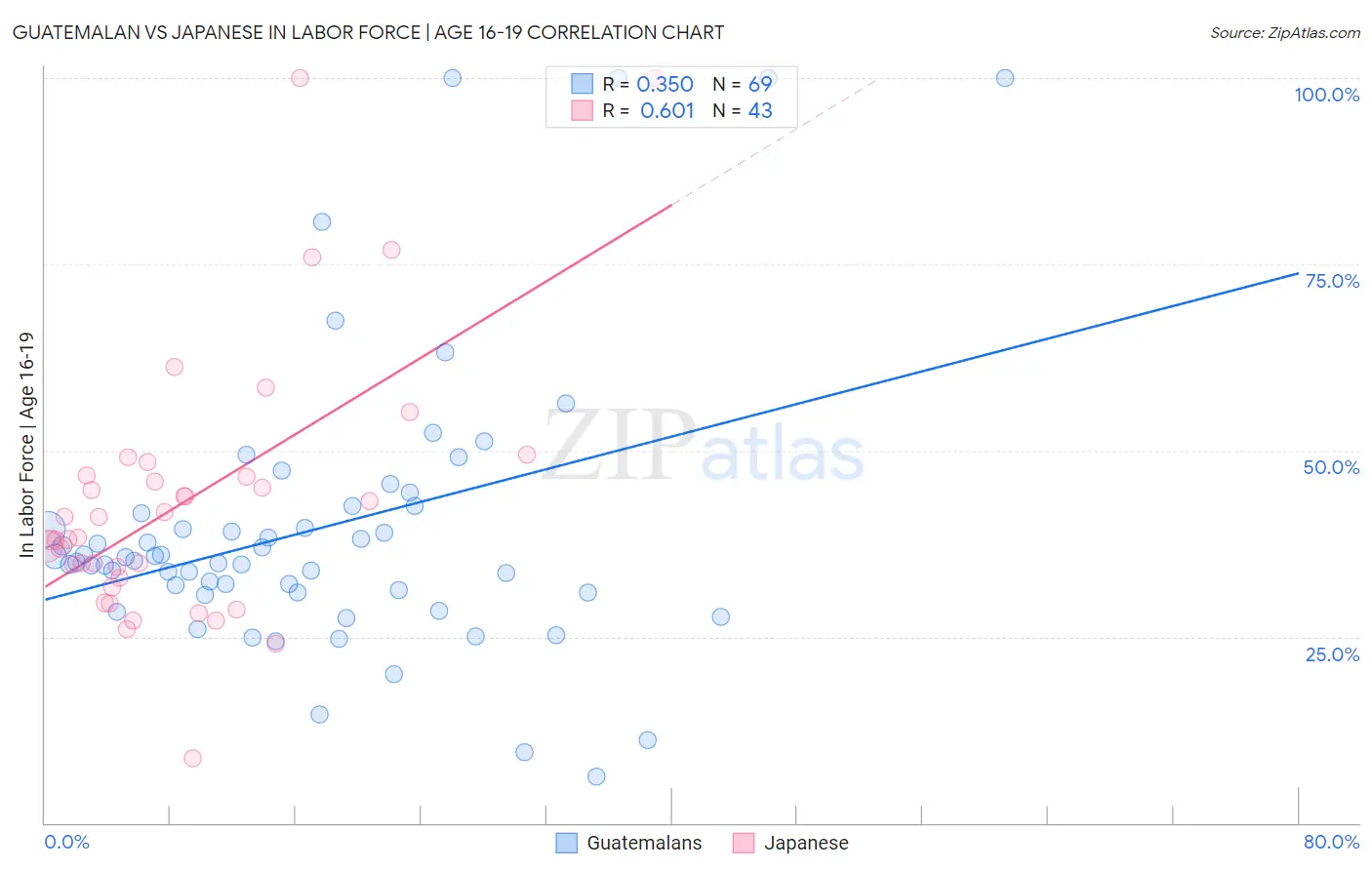 Guatemalan vs Japanese In Labor Force | Age 16-19