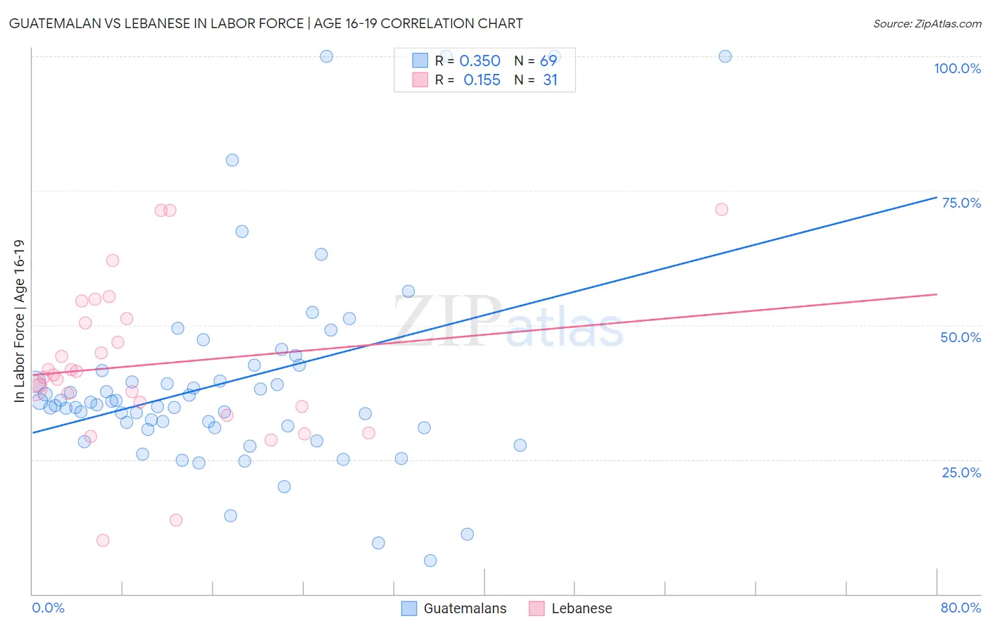 Guatemalan vs Lebanese In Labor Force | Age 16-19
