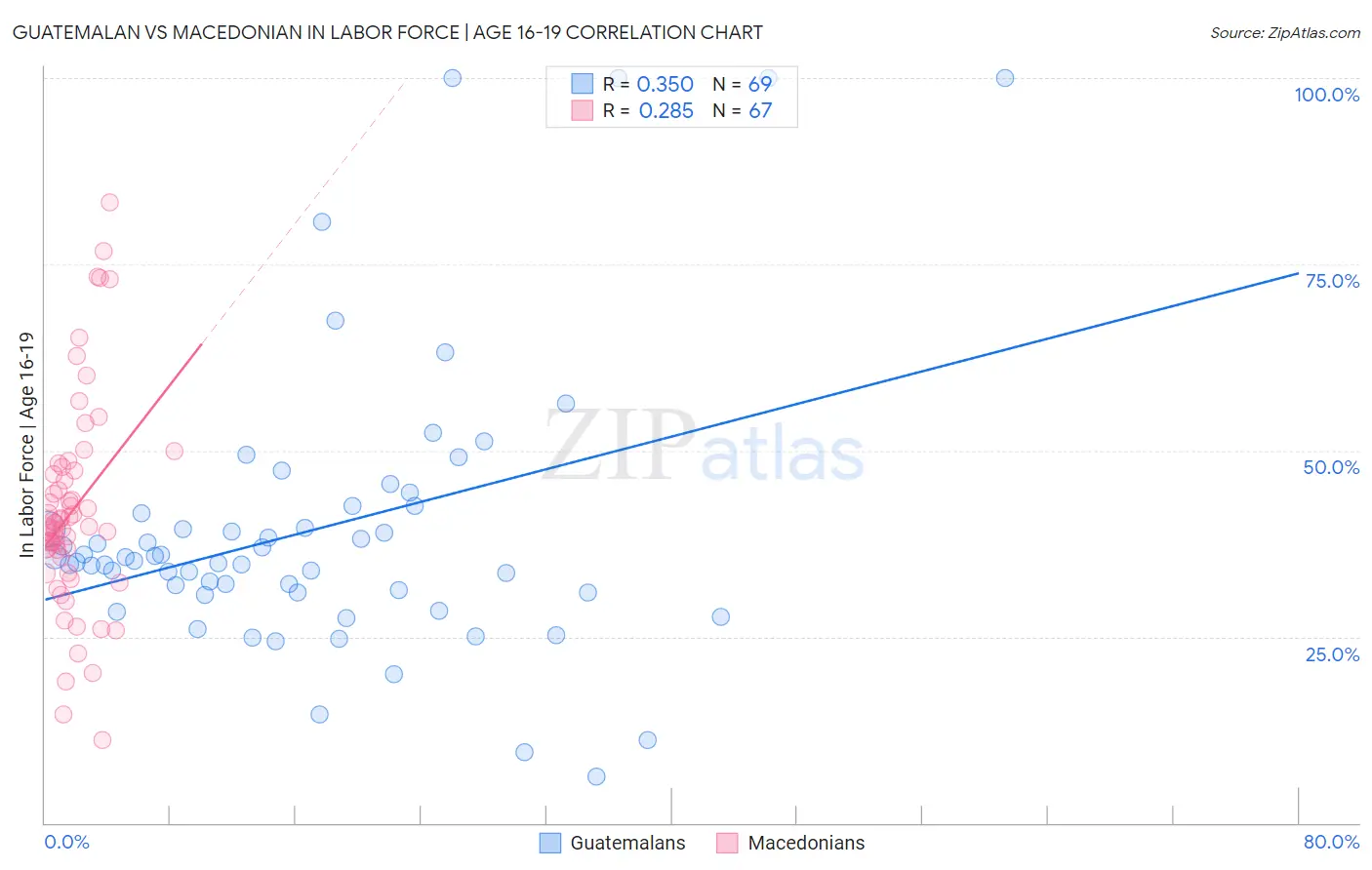 Guatemalan vs Macedonian In Labor Force | Age 16-19