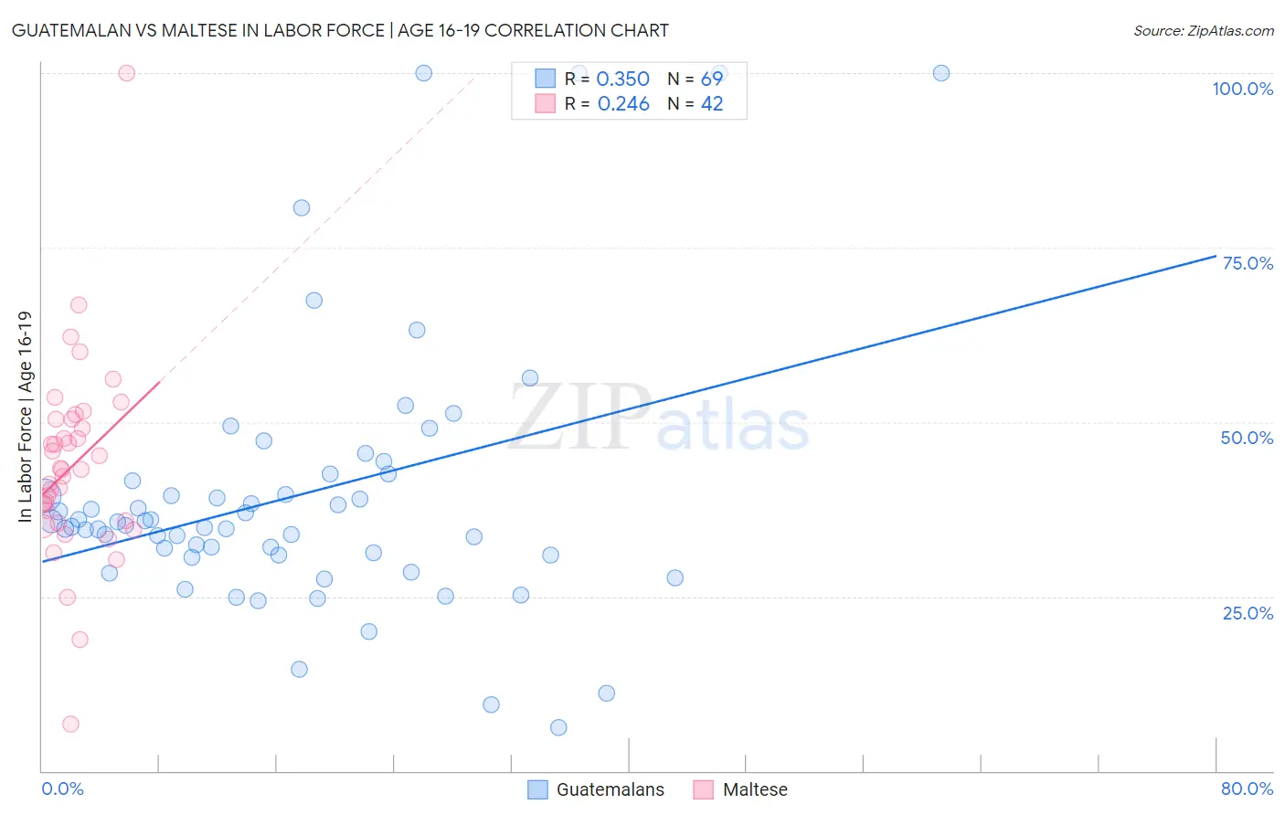 Guatemalan vs Maltese In Labor Force | Age 16-19