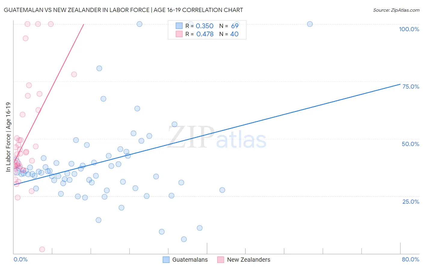 Guatemalan vs New Zealander In Labor Force | Age 16-19