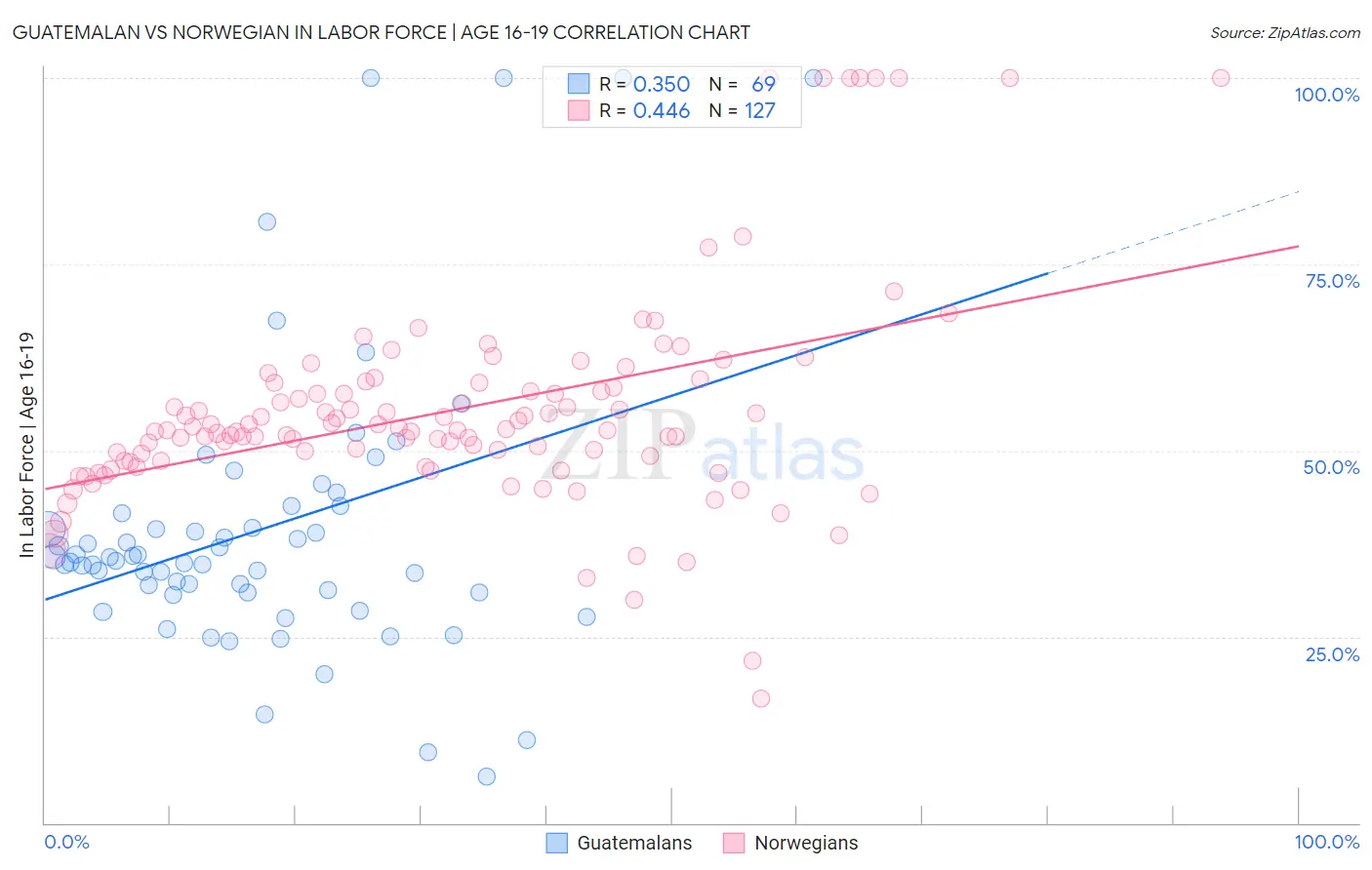 Guatemalan vs Norwegian In Labor Force | Age 16-19