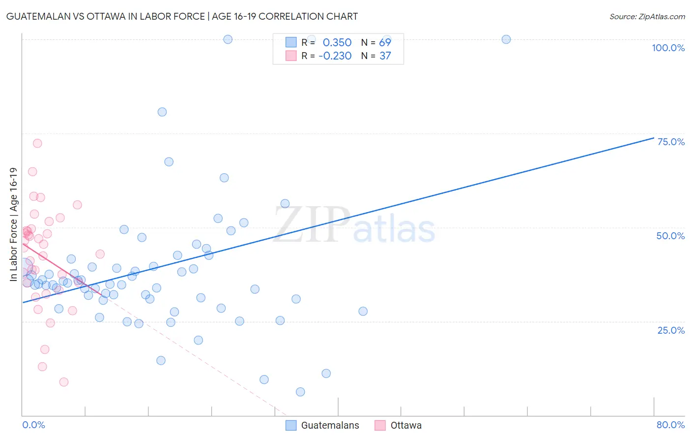 Guatemalan vs Ottawa In Labor Force | Age 16-19